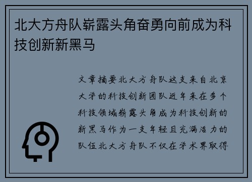 北大方舟队崭露头角奋勇向前成为科技创新新黑马